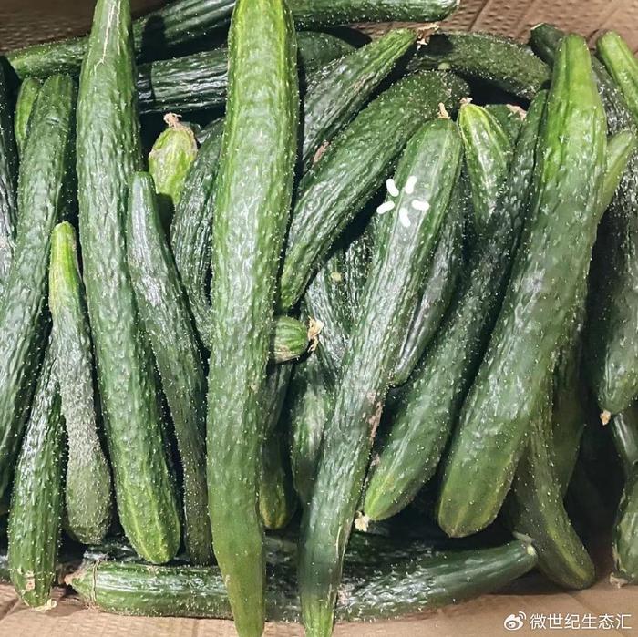 绿色富硒蔬菜(富硒蔬菜的好处)-硒宝网