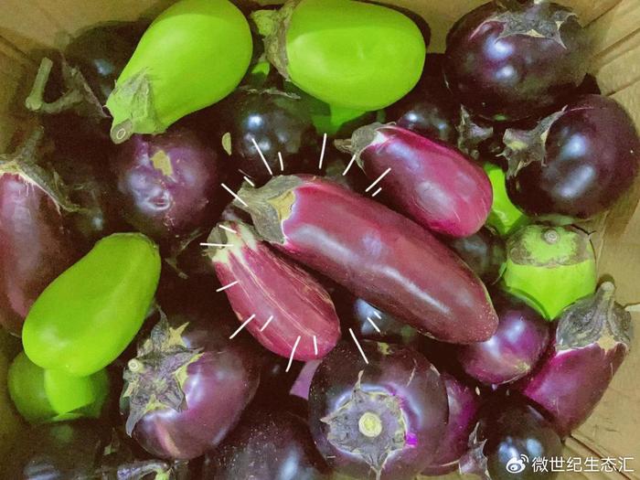 绿色富硒蔬菜(富硒蔬菜的好处)-硒宝网