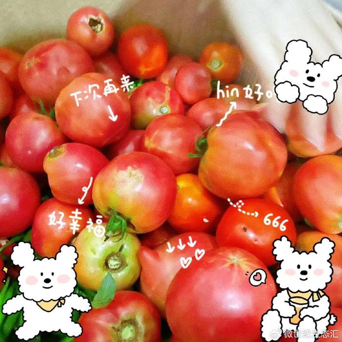 绿色富硒蔬菜(富硒蔬菜的好处)-硒宝网