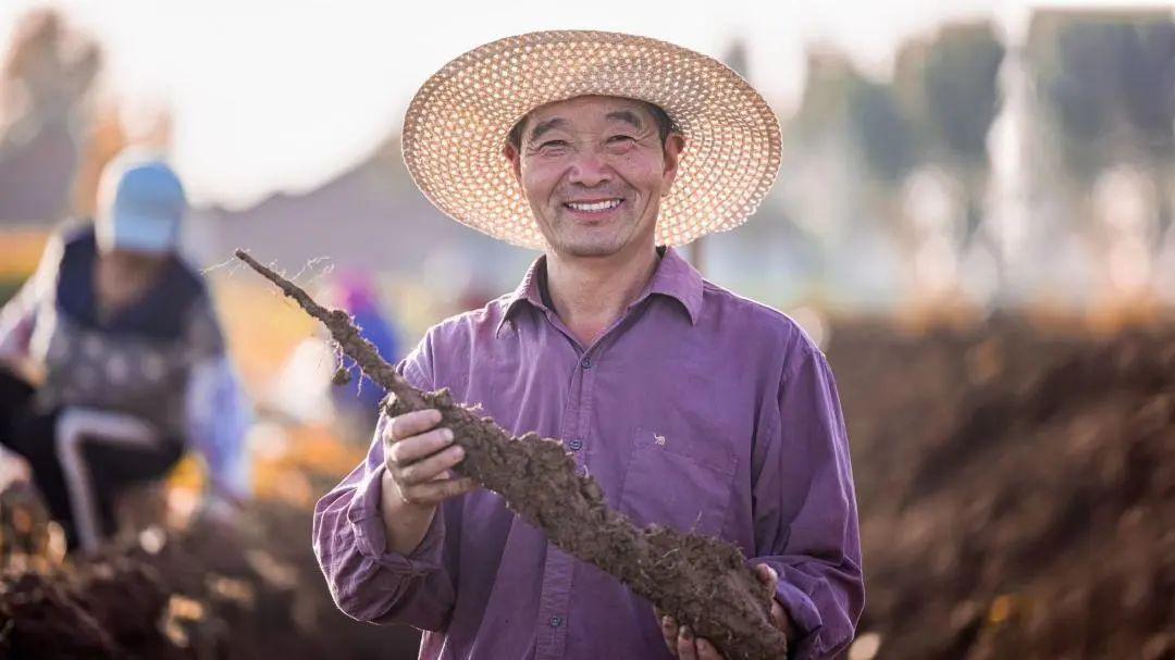 富硒蔬菜礼盒（富硒蔬菜价格比普通蔬菜）-硒宝网