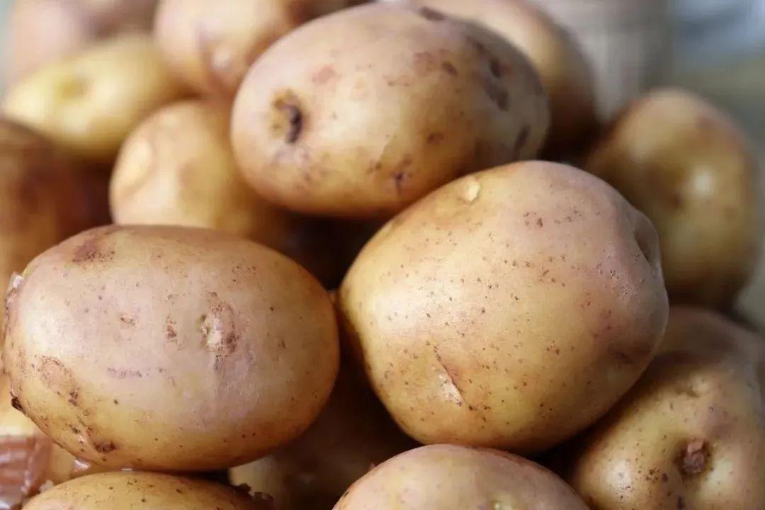 富硒蔬菜礼盒（富硒蔬菜价格比普通蔬菜）-硒宝网