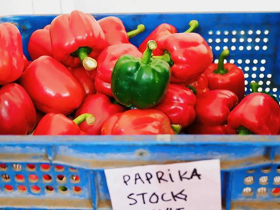 宝清富硒蔬菜(富硒宝片)-硒宝网