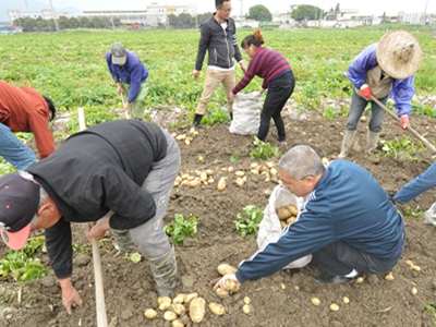 宝清富硒蔬菜(富硒宝片)-硒宝网
