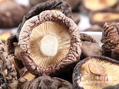 楚雄富硒蔬菜（富硒蔬菜产业园）-硒宝网