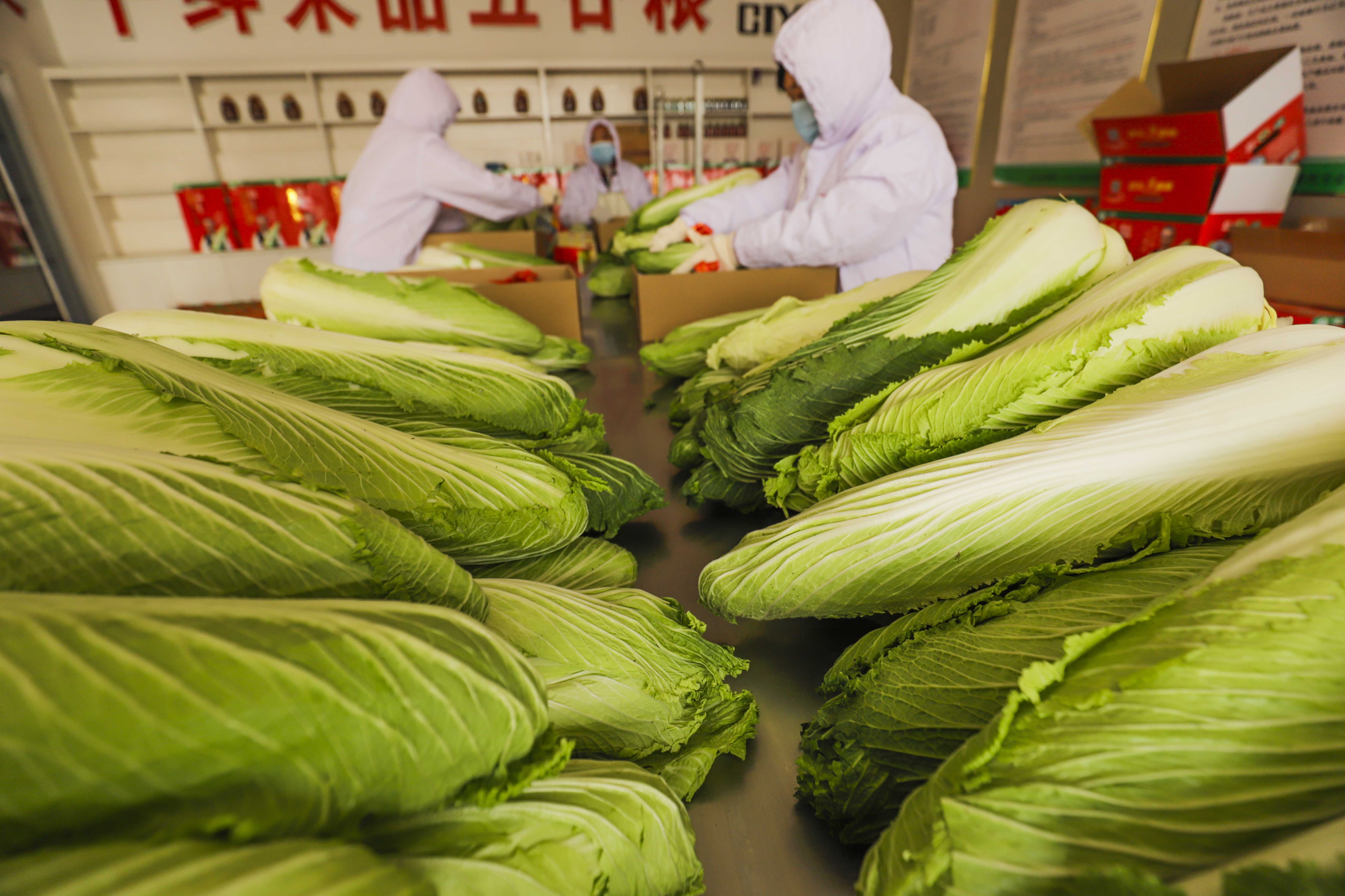 乐亭富硒蔬菜（富硒蔬菜是什么）-硒宝网