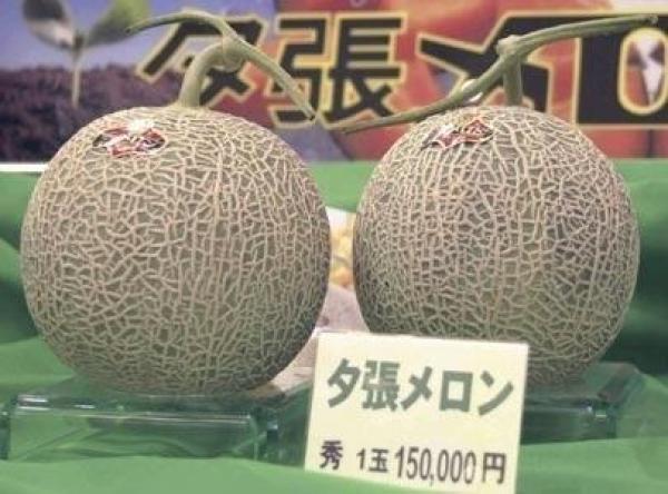 富硒蔬菜礼盒（富硒蔬菜的标准）-硒宝网