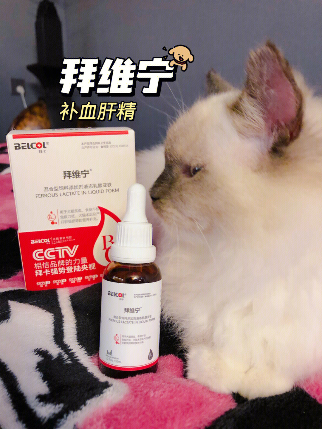 不贫血可以补铁吗（贫血补铁可以吃什么）-硒宝网