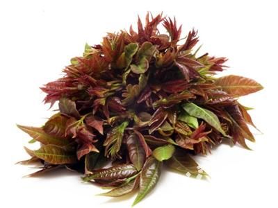 楚雄富硒蔬菜（富硒蔬菜价格比普通蔬菜）-硒宝网