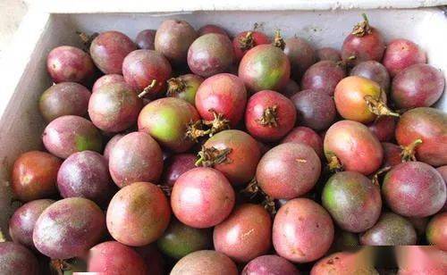 富硒蔬菜种类（蔬菜种类富硒排名）-硒宝网