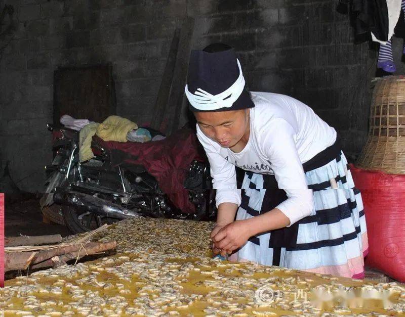 富硒蔬菜种类（蔬菜种类富硒排名）-硒宝网