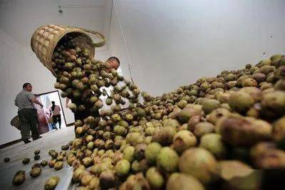 富硒蔬菜种类（蔬菜种类富硒排名）-硒宝网