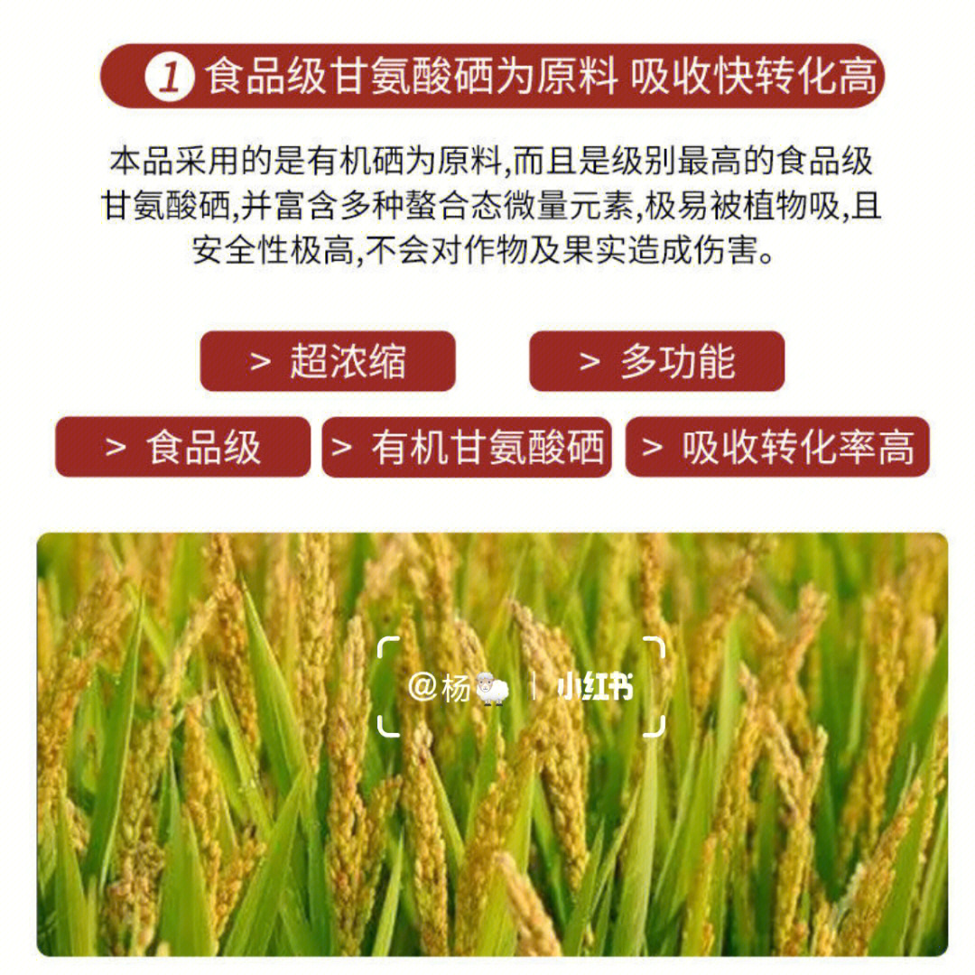鲁盛富硒蔬菜(富硒蔬菜产业园)-硒宝网