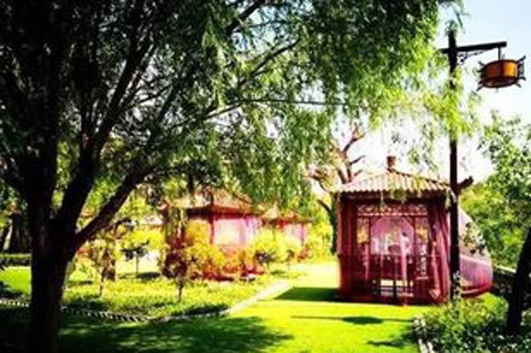 乐都富硒蔬菜(乐都富硒大蒜)-硒宝网