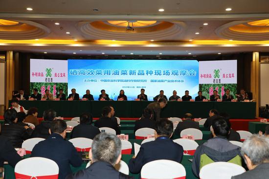 良康富硒蔬菜(富硒果蔬)-硒宝网