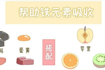 孕妇吃什么水果补铁(补铁的水果孕妇吃)-硒宝网