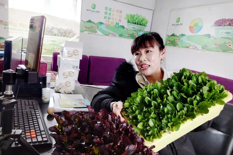 李丽富硒蔬菜(富硒菜价格)-硒宝网