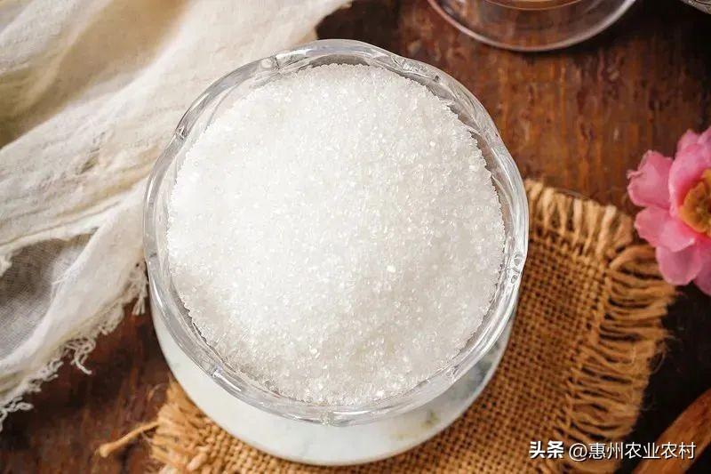 富硒爆汁蔬菜(富硒蔬菜水果)-硒宝网