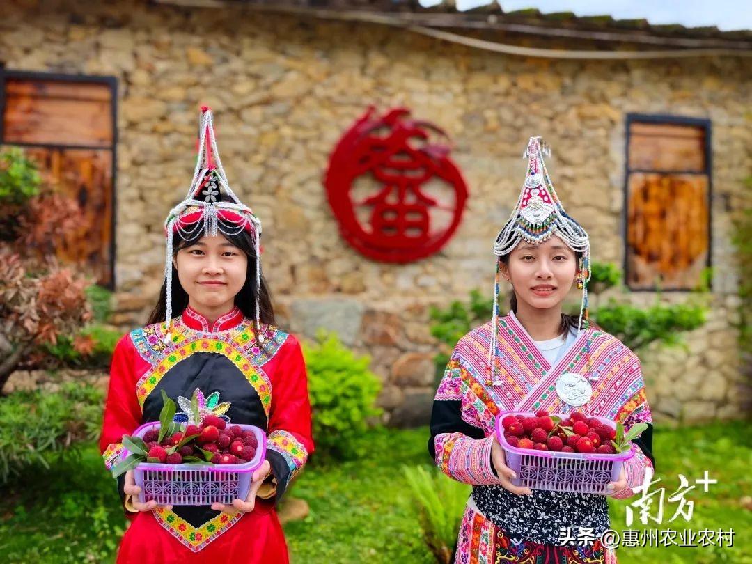 富硒爆汁蔬菜(富硒蔬菜水果)-硒宝网