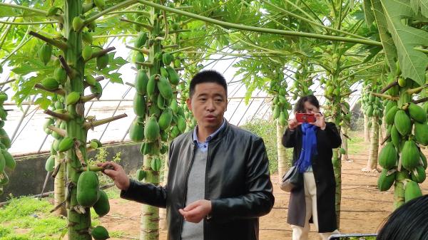 临淄富硒蔬菜(淄博富硒生态园)-硒宝网