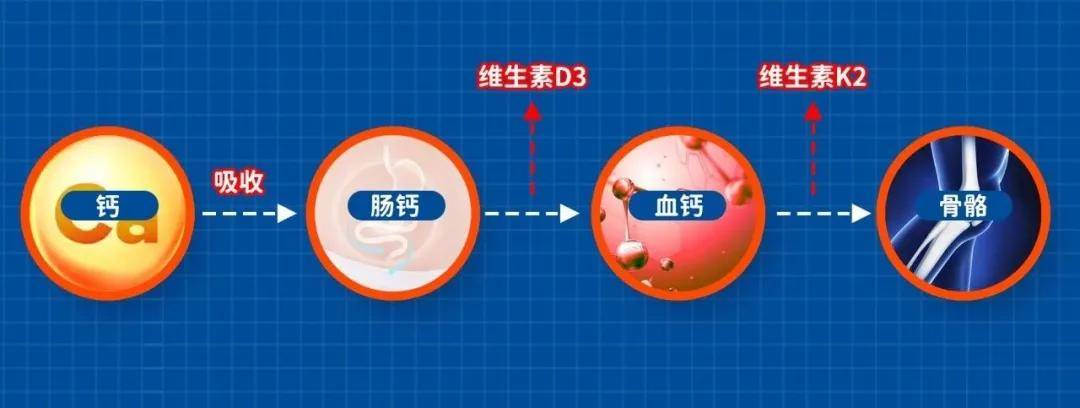 成人补锌吃什么药（成人药吃补锌有用吗）-硒宝网