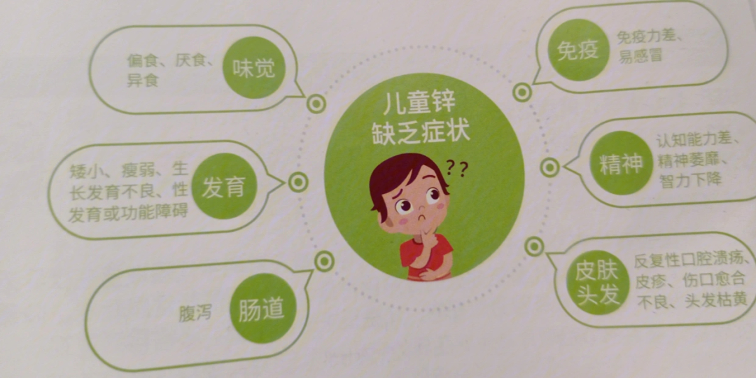 吃什么补充微量元素(补充微量元素吃啥)-硒宝网