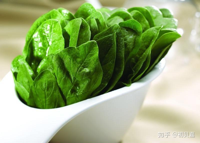 吃菠菜补铁吗(菠菜补铁)-硒宝网