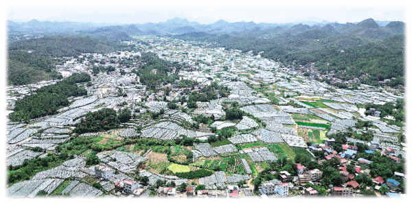 铁岭富硒水果（富硒果园）-硒宝网