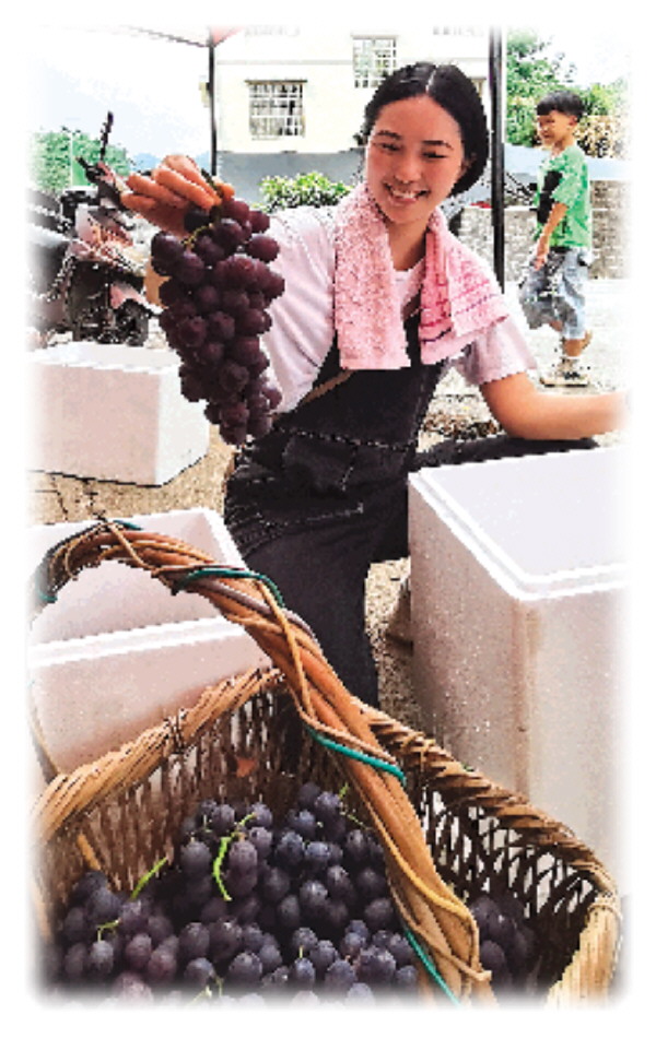 铁岭富硒水果（富硒果园）-硒宝网