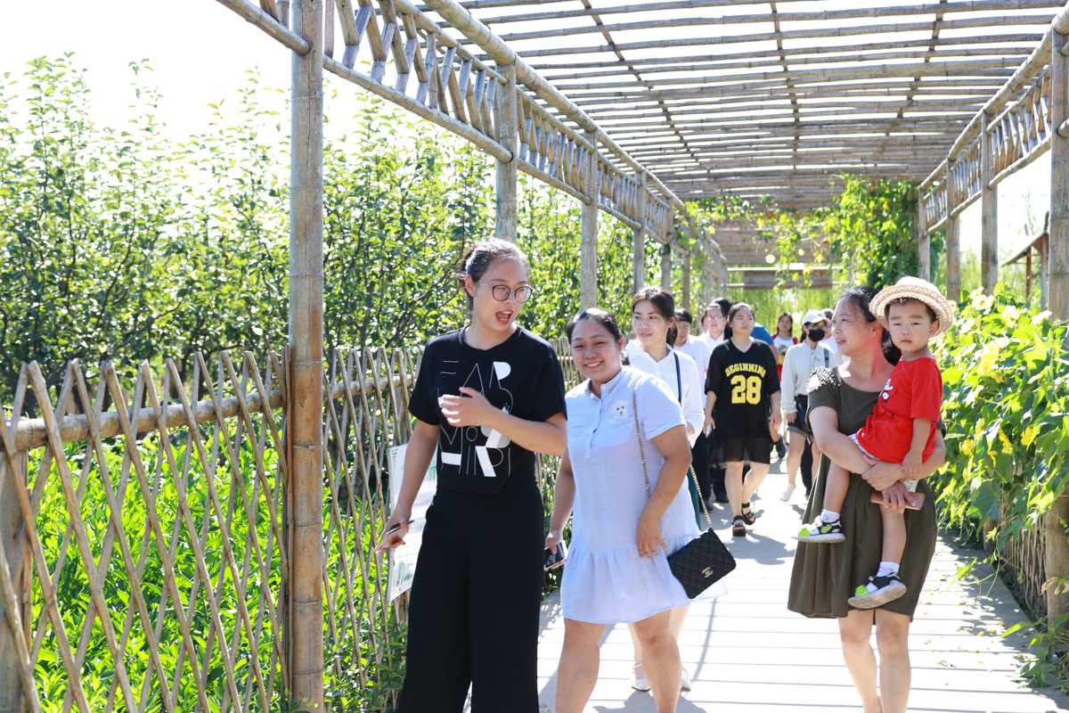 含富硒的蔬菜（蔬菜中含硒元素的有哪些）-硒宝网