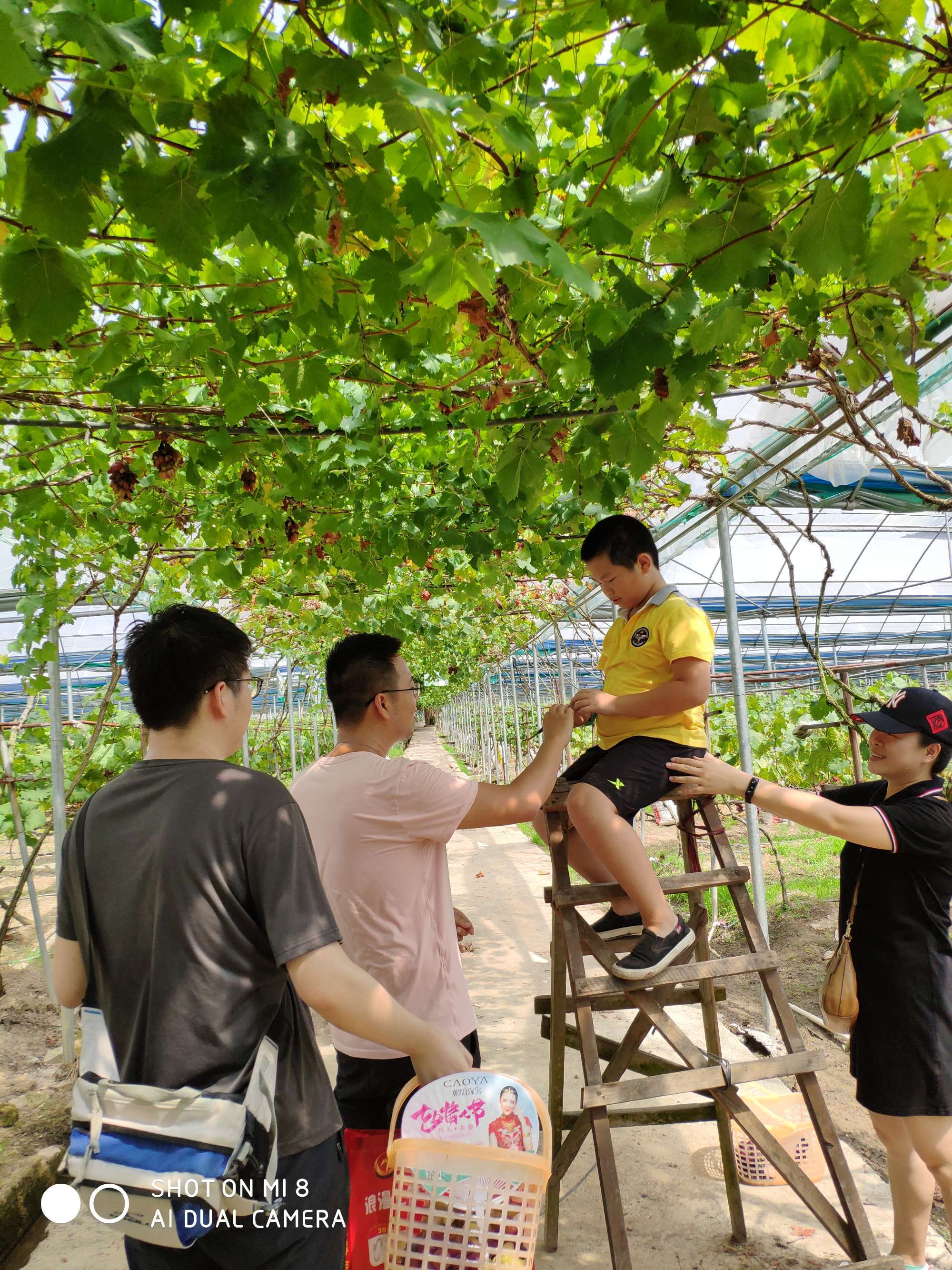 含富硒的蔬菜（蔬菜中含硒元素的有哪些）-硒宝网