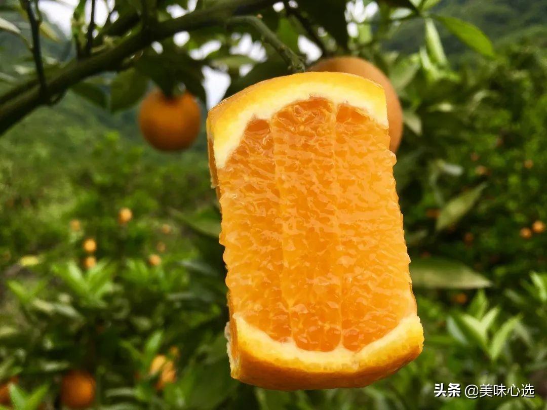 富硒爆汁蔬菜（富硒蔬菜的好处）-硒宝网