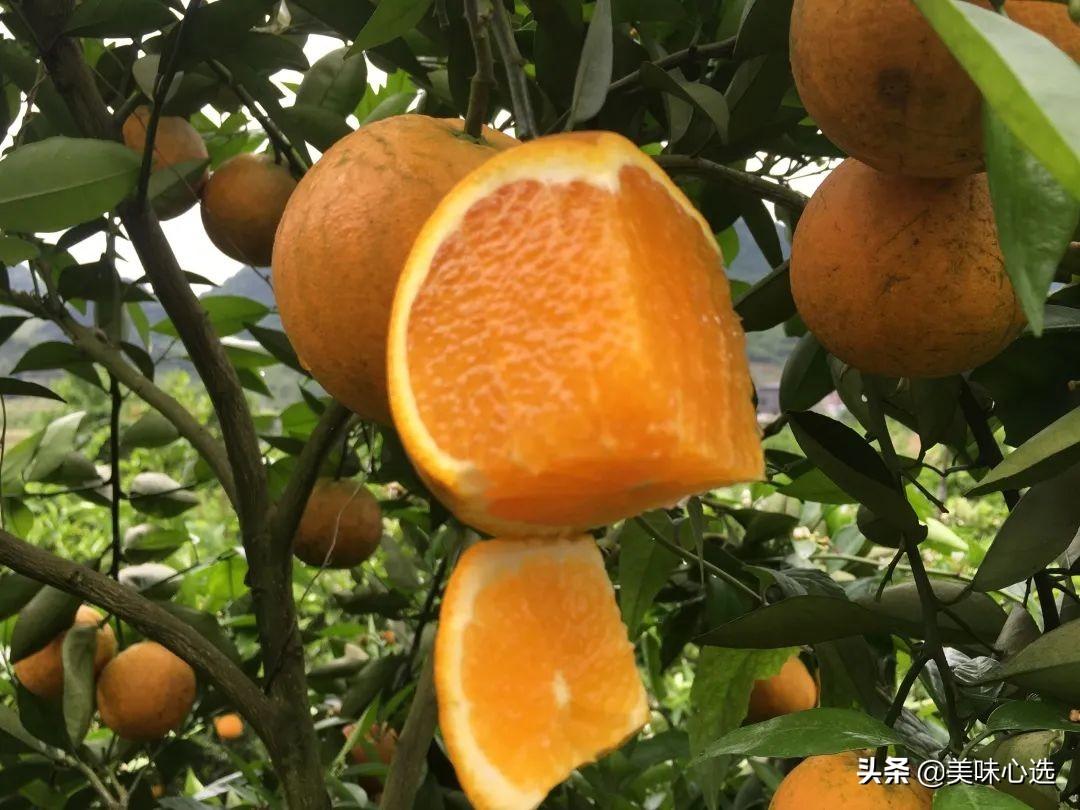 富硒爆汁蔬菜（富硒蔬菜的好处）-硒宝网