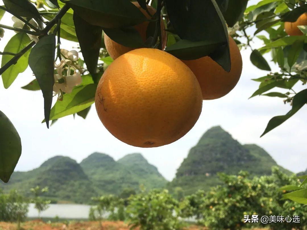 富硒爆汁蔬菜（富硒蔬菜的好处）-硒宝网