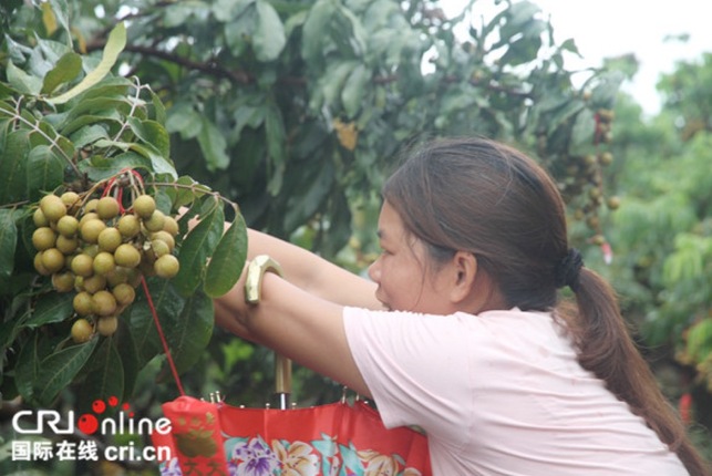 平南富硒水果（水果富硒平南产地）-硒宝网