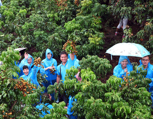 平南富硒水果（富硒水果的标准是多少）-硒宝网