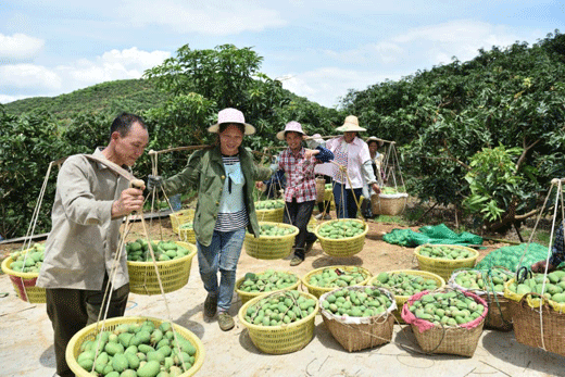 平南富硒水果（富硒水果的标准是多少）-硒宝网