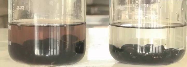 红豆补铁吗（红豆补铁效果怎么样）-硒宝网