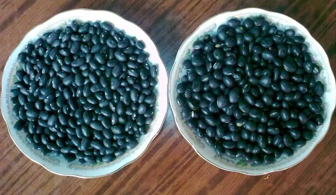 红豆补铁吗（红豆补铁效果怎么样）-硒宝网