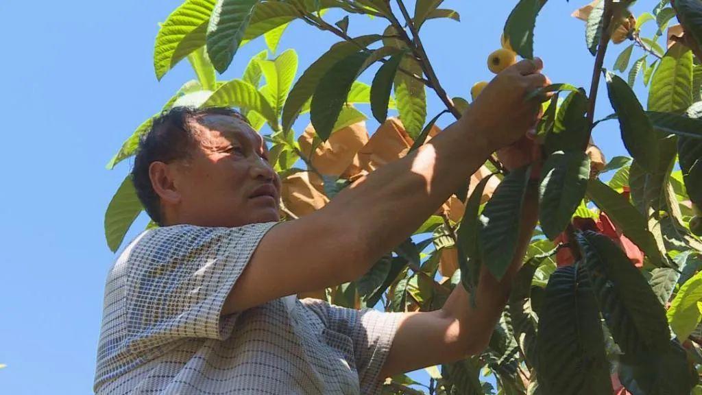毕节富硒水果（富硒水果前十名）-硒宝网