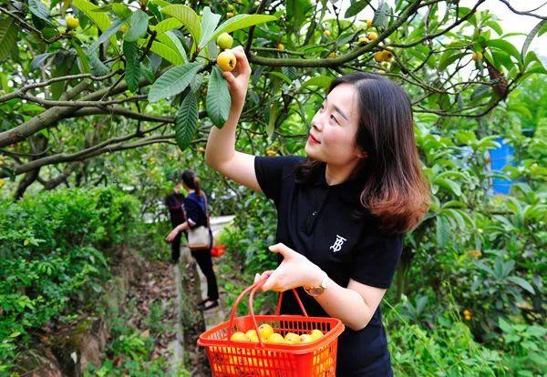 毕节富硒水果（富硒水果前十名）-硒宝网