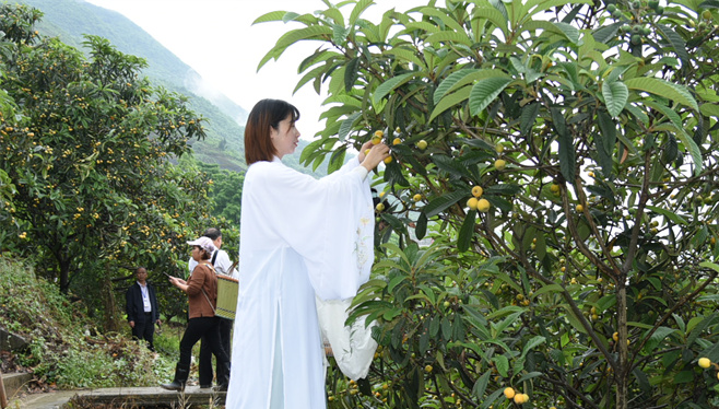 毕节富硒水果（富硒水果前十名）-硒宝网