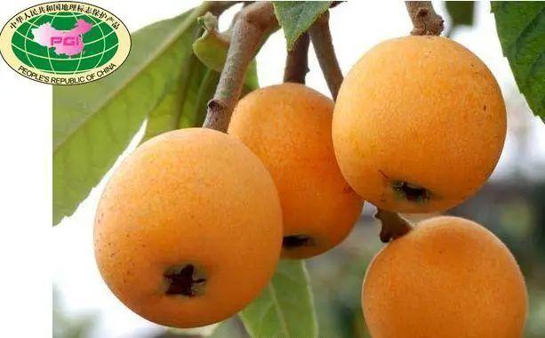 毕节富硒水果（富硒水果前十名）-硒宝网