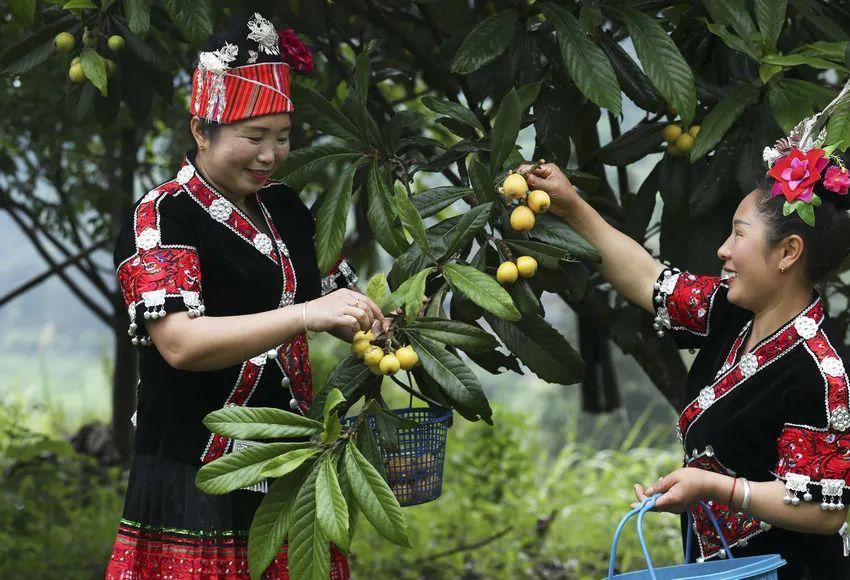毕节富硒水果（富硒水果前十名）-硒宝网