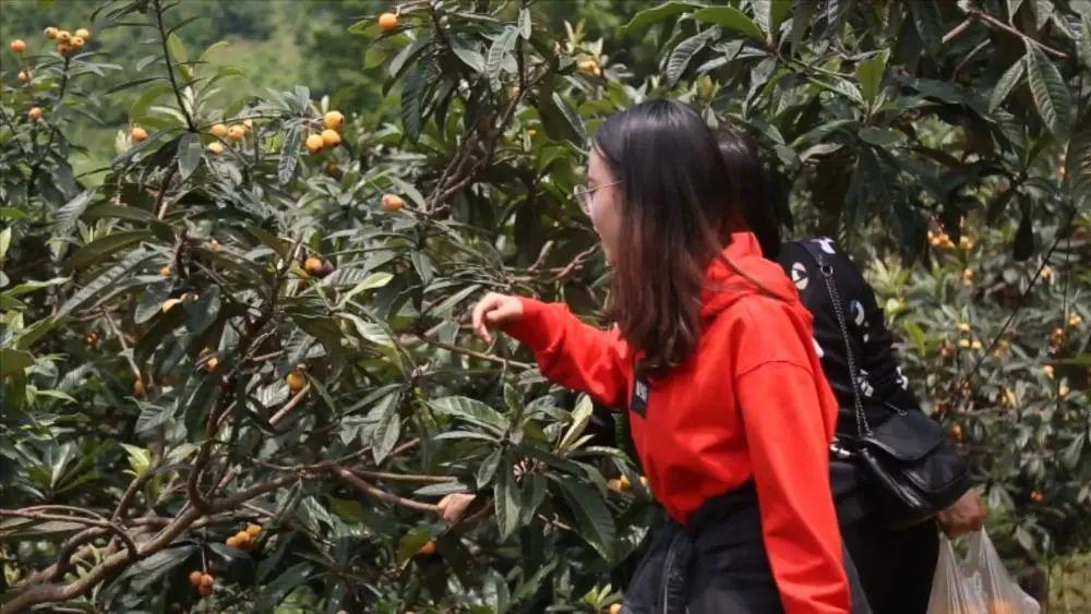 毕节富硒水果（富硒水果前十名）-硒宝网