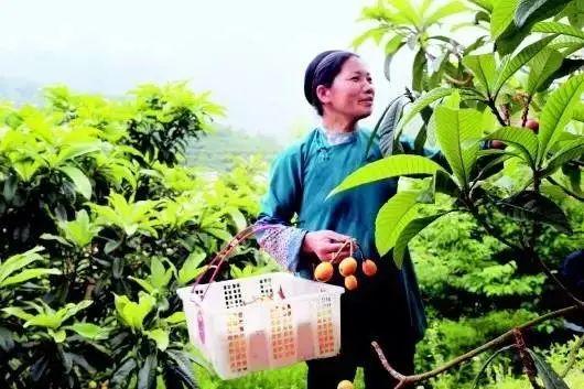 毕节富硒水果（富硒水果前十名）-硒宝网