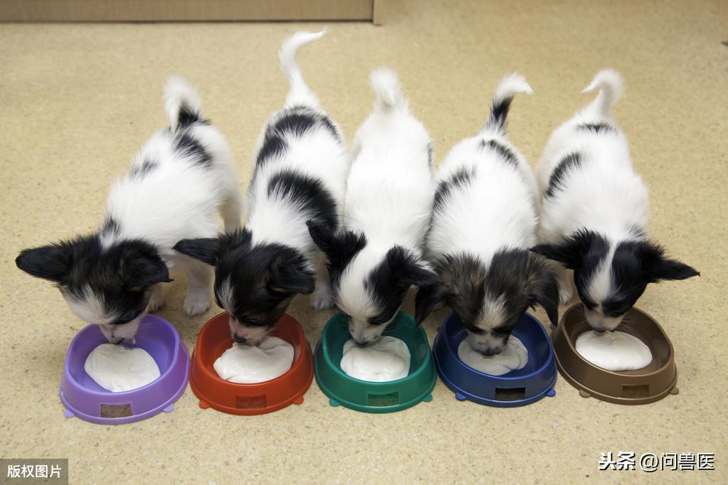 宝宝多大补钙（多大补钙宝宝最好）-硒宝网