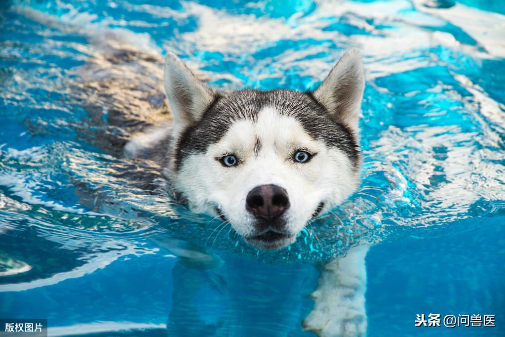 宝宝多大补钙（多大补钙宝宝最好）-硒宝网