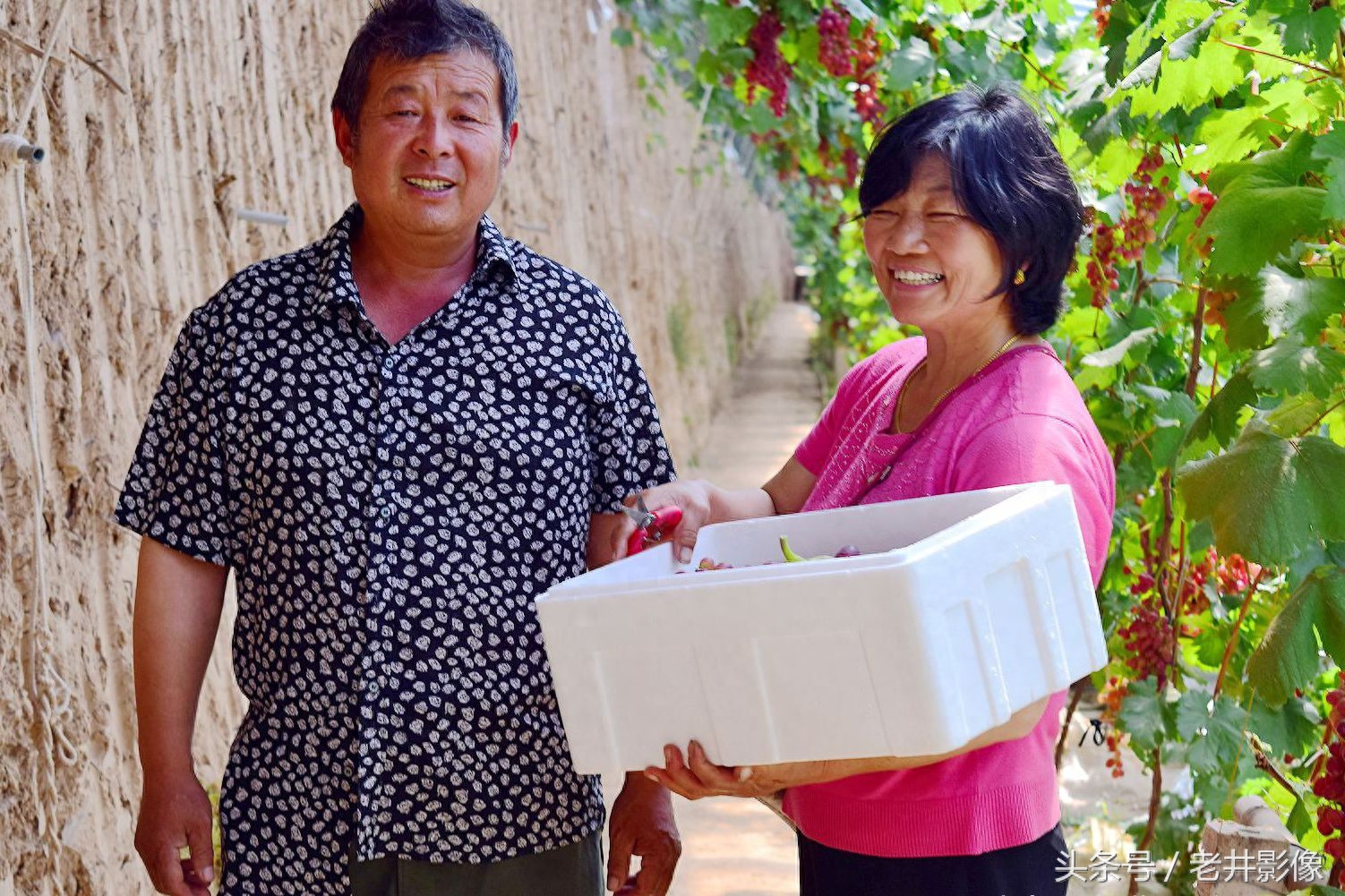 富硒水果葡萄(富硒葡萄甜吗)-硒宝网