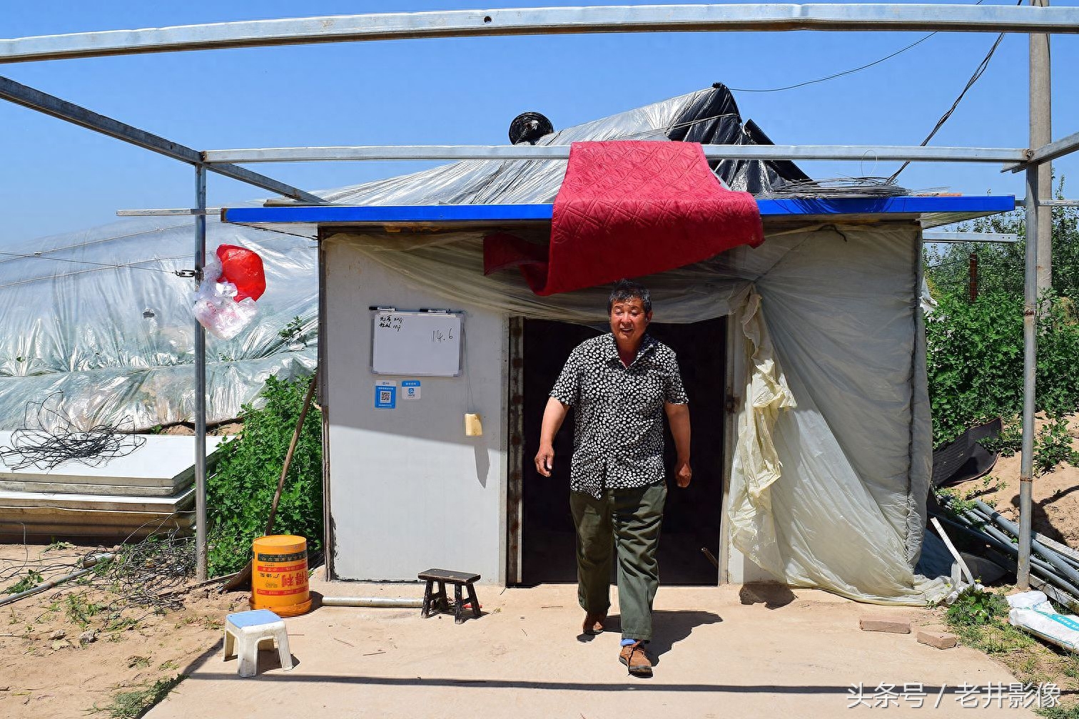 富硒水果葡萄(富硒葡萄甜吗)-硒宝网