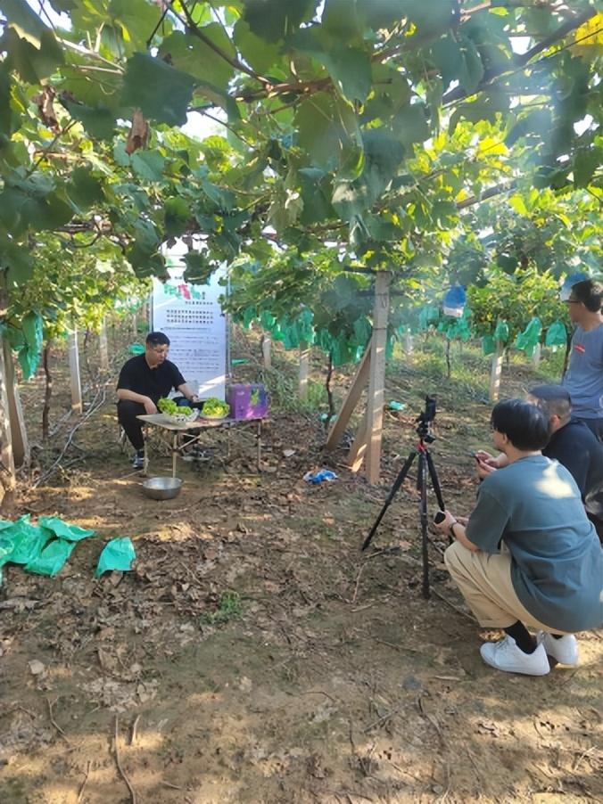 富硒水果葡萄(水果葡萄富硒含量高吗)-硒宝网
